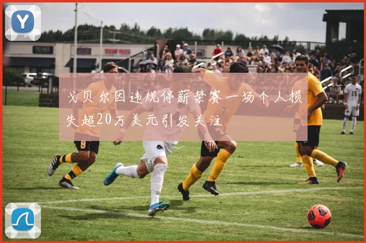 戈贝尔因违规停薪禁赛一场个人损失超20万美元引发关注